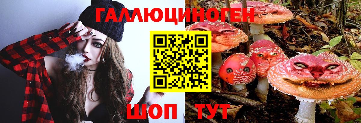 Псилоцибиновые грибы Magic Shrooms Сорочинск
